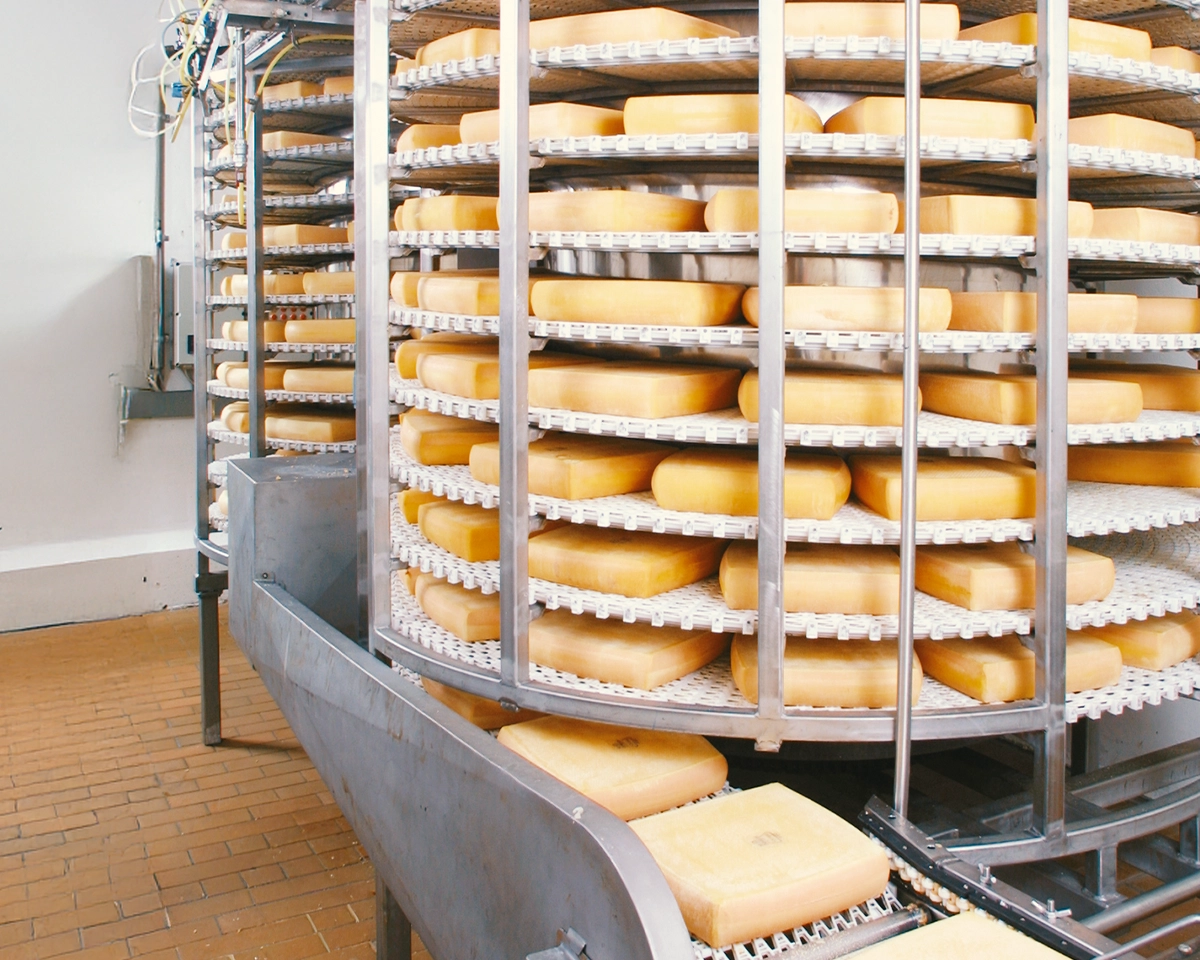 Kurvengängiges Modulband von MOVET