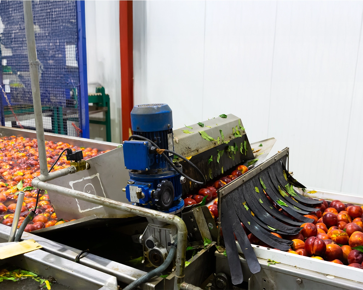 Modulband mit Lebensmittelkontakt und Feuchtigkeit von MOVET