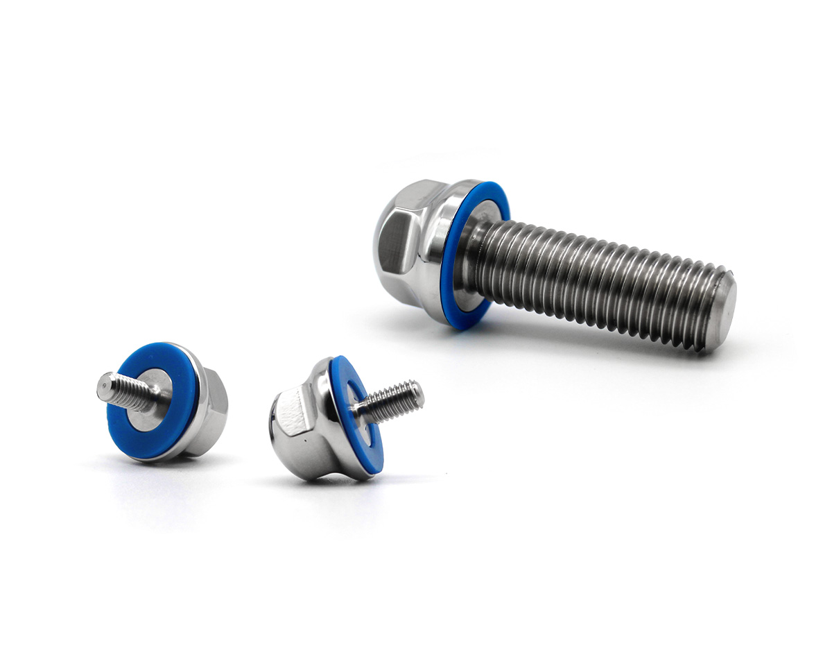 Element 2 of 3 (image) – Hygienic 3-A screw M12x20 with blue silicone gasket