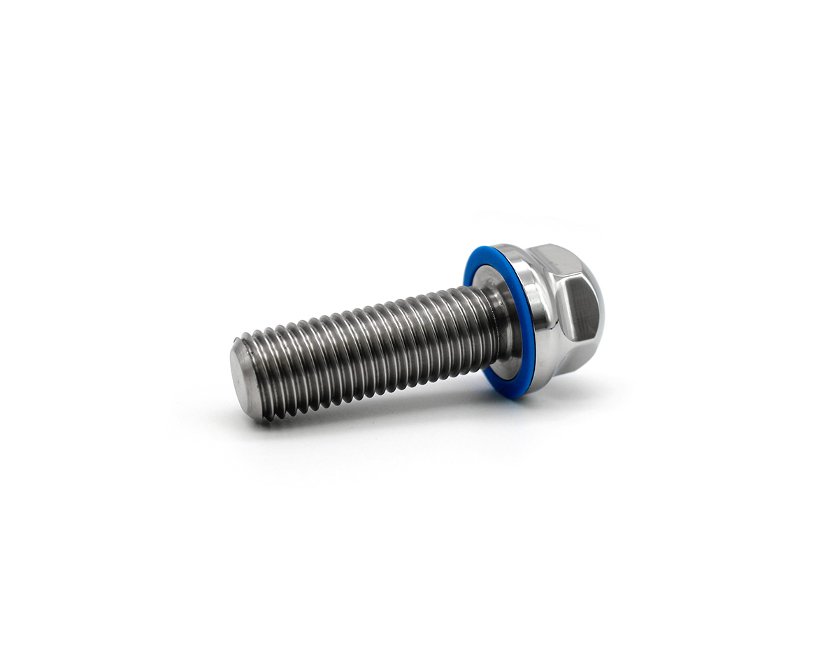 Element 2 of 3 (image) – Hygienic 3-A screw M6x16 with blue silicone gasket