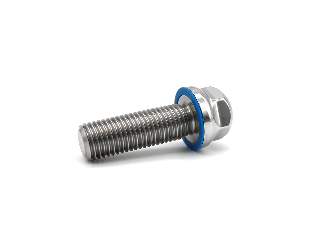Hygienic 3-A screw M16x70 with blue silicone gasket