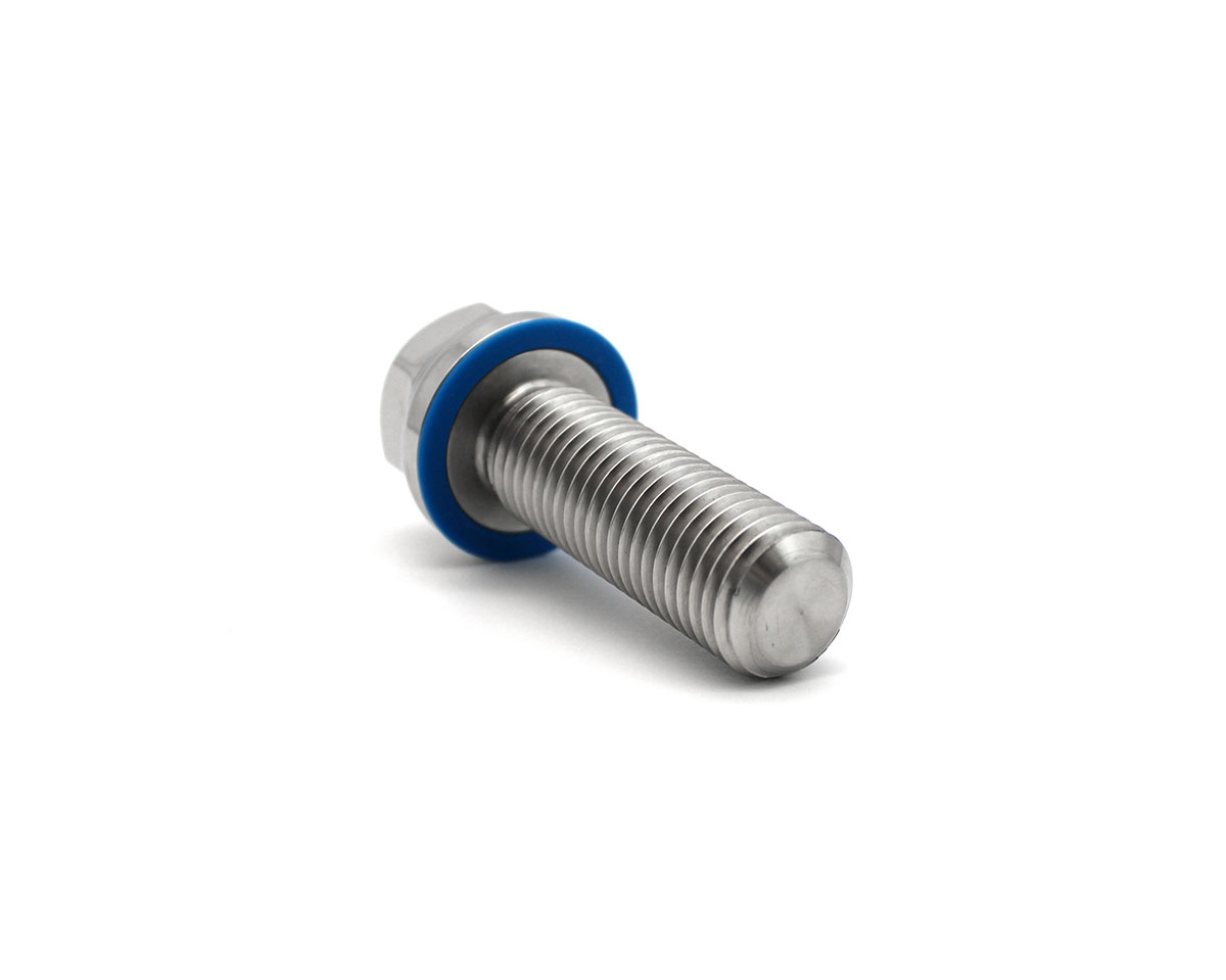 Element 2 of 3 (image) – Hygienic 3-A screw M20x50 with blue silicone gasket