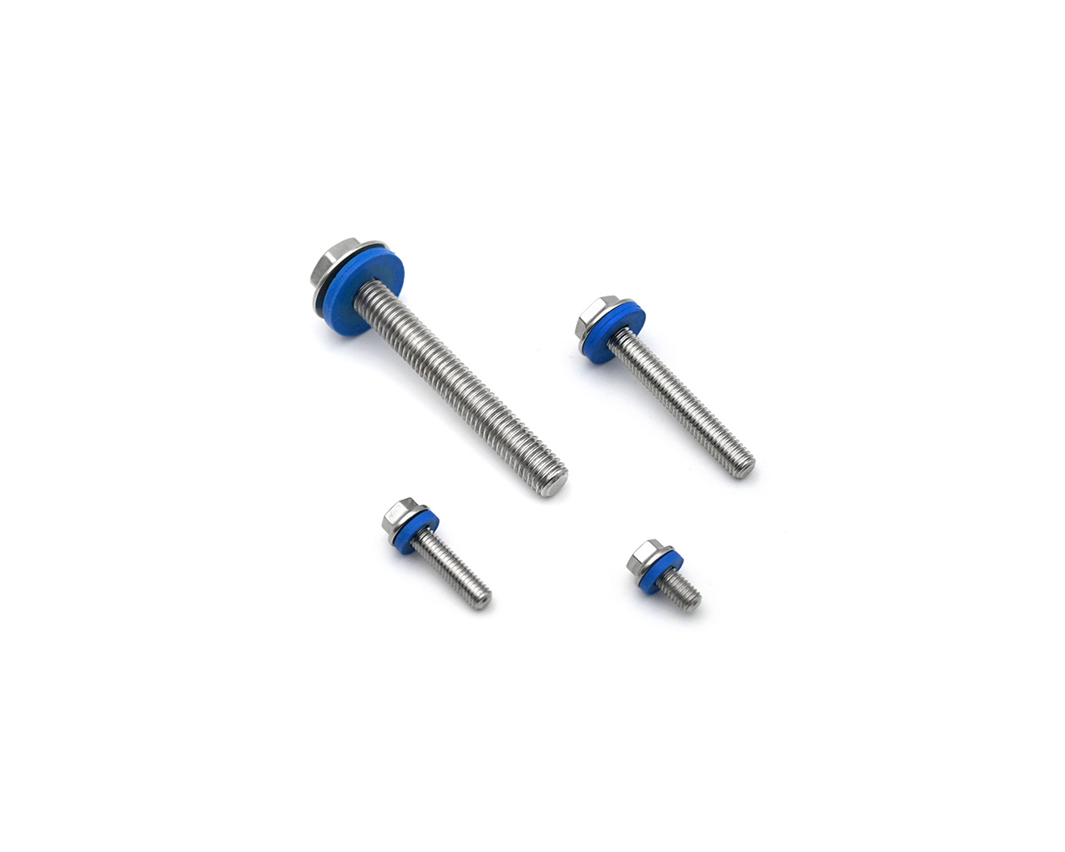 Element 2 of 3 (image) – Hygienic low profile screw M6 x 20 mm, 3A certification - Other dimensions on request