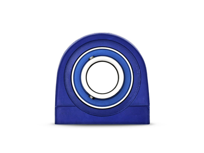 Waterproof IP69K Hygiene Stehlager TBLW 205, PBT Kunststoff Gehäuse blau, ohne Schmiernippel, Bohrungsabstand 50, 8 mm, MB