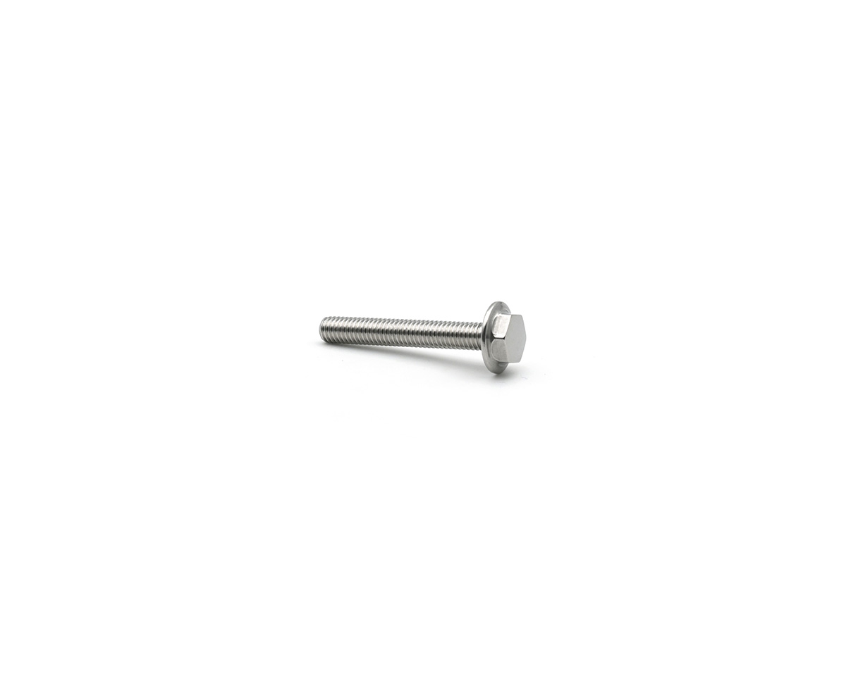 Hygienic low profile screw M6 x 20 mm - Other dimensions on request
