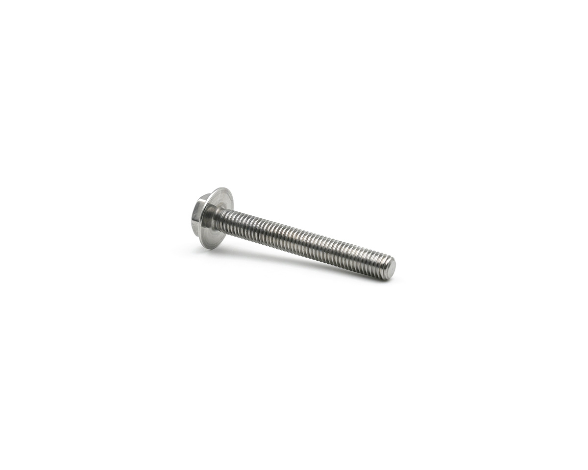 Element 2 of 3 (image) – Hygienic low profile screw M8 x 60 mm - Other dimensions on request