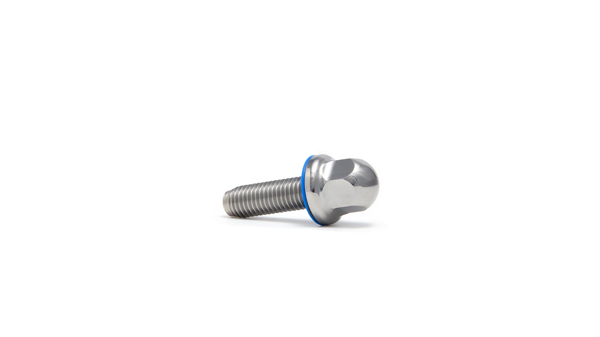Hygienic Bolts