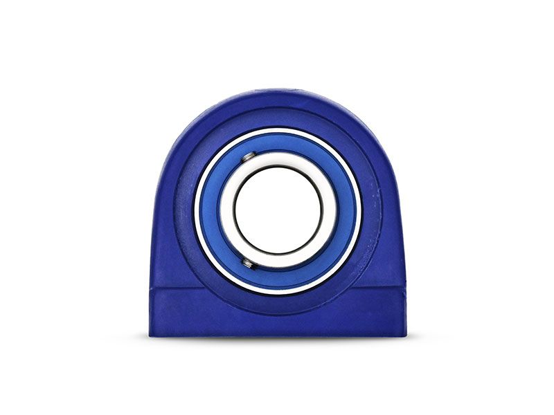 Waterproof IP69K Hygiene Stehlager TBLW 205, PBT Kunststoff Gehäuse blau, ohne Schmiernippel, Bohrungsabstand 50, 8 mm, MB